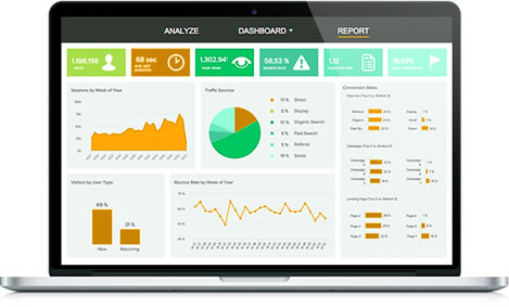 mobile field reporting software Mobile Field Force Solutions