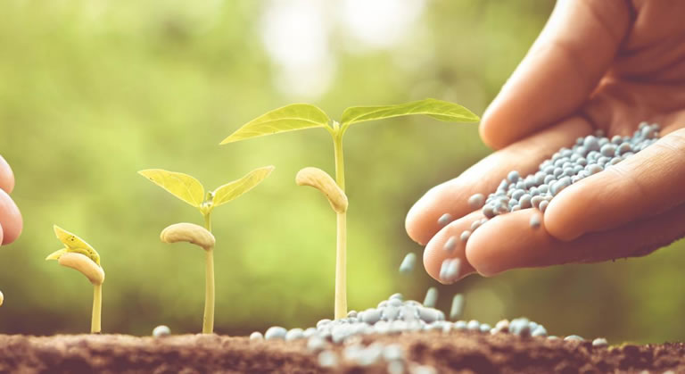 Sales team management for Fertilizer manufacturing industry